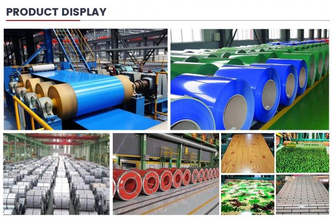 ASTM A653 SGCC Hot Dipped Prepainted Galvanized Steel Coil 8